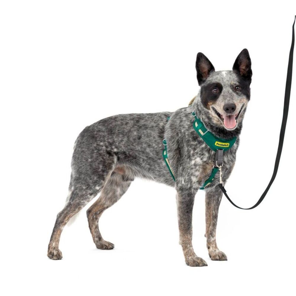 PetSafe Comfort No Pull Adjustable Dog Harness - M - Green